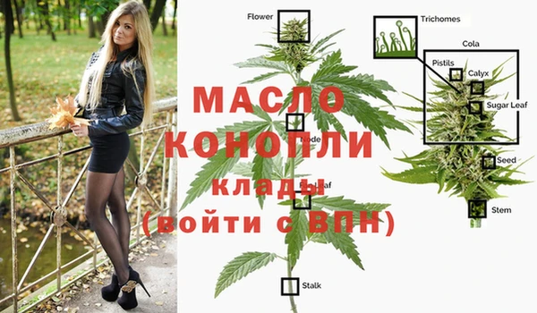 эйфоретик Горнозаводск