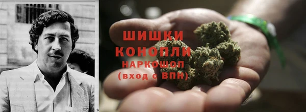 ешки Гусев