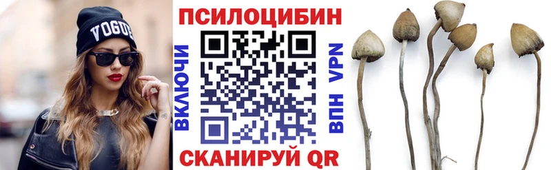 Галлюциногенные грибы Cubensis  Новая Ладога 