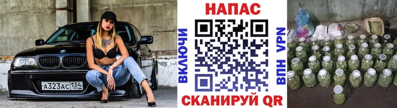 даркнет сайт  Новая Ладога  Конопля индика 